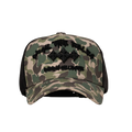 FTR Trucker