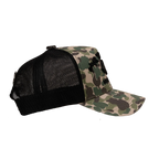 FTR Trucker